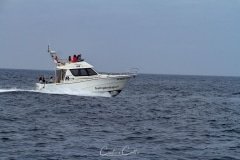 A caminho das Berlengas