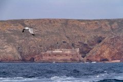 Berlengas - Forte de São João Baptista