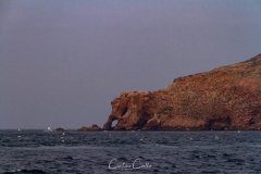 Berlengas - Cabeça de Elefante