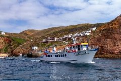 Berlengas