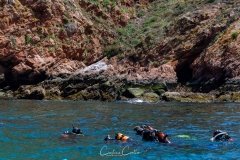 Berlengas - Mergulhadores
