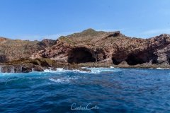 Berlengas - Cova do Sono