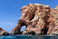 Berlengas - Cabeça de Elefante