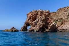 Berlengas - Cabeça de Elefante
