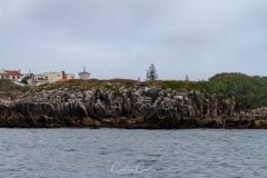 Costa de Peniche