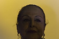 Caixa Alfama 2016 - Cidália Moreira