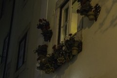 Caixa Alfama 2016