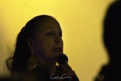 Caixa Alfama 2016 - Cidália Moreira