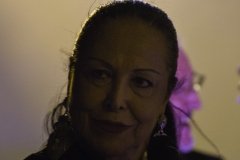 Caixa Alfama 2016 - Cidália Moreira