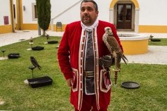 Falcoaria Real em Slavaterra de Magos