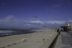 Espinho