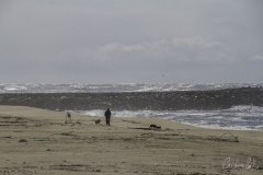 Espinho