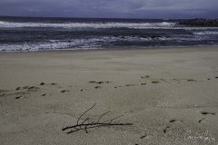 Espinho