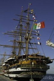 The Tall Ships Race