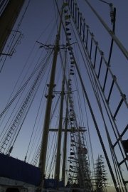 The Tall Ships Race