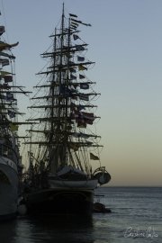 The Tall Ships Race