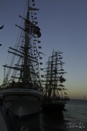 The Tall Ships Race