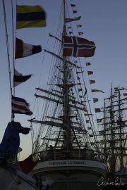 The Tall Ships Race