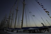 The Tall Ships Race