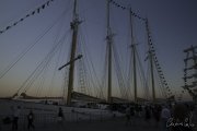 The Tall Ships Race