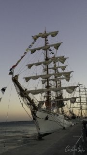 The Tall Ships Race