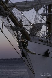 The Tall Ships Race