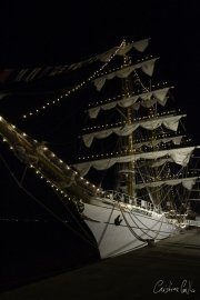 The Tall Ships Race