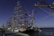 The Tall Ships Race