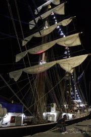 The Tall Ships Race