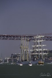 The Tall Ships Race - A Despedida