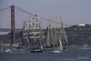 The Tall Ships Race - A Despedida