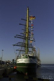 The Tall Ships Race