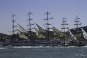 The Tall Ships Race - A Despedida