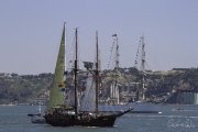 The Tall Ships Race - A Despedida