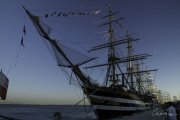 The Tall Ships Race