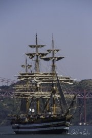 The Tall Ships Race - A Despedida