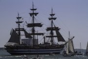 The Tall Ships Race - A Despedida