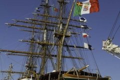 The Tall Ships Race
