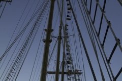 The Tall Ships Race