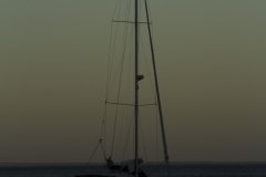 The Tall Ships Race