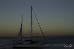 The Tall Ships Race
