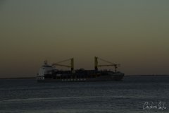 The Tall Ships Race