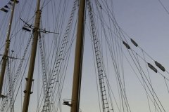 The Tall Ships Race
