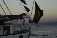The Tall Ships Race