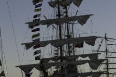 The Tall Ships Race