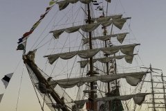 The Tall Ships Race