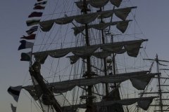 The Tall Ships Race