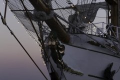 The Tall Ships Race