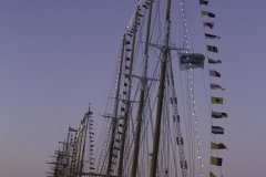 The Tall Ships Race