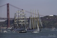 The Tall Ships Race - A Despedida